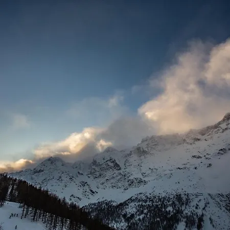 Deer Breuil-Cervinia