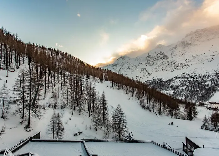 Deer Breuil-Cervinia