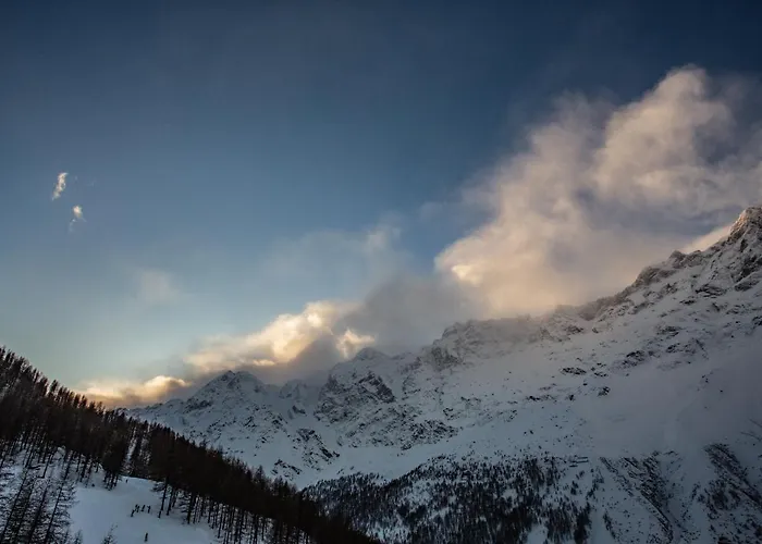 Deer Breuil-Cervinia